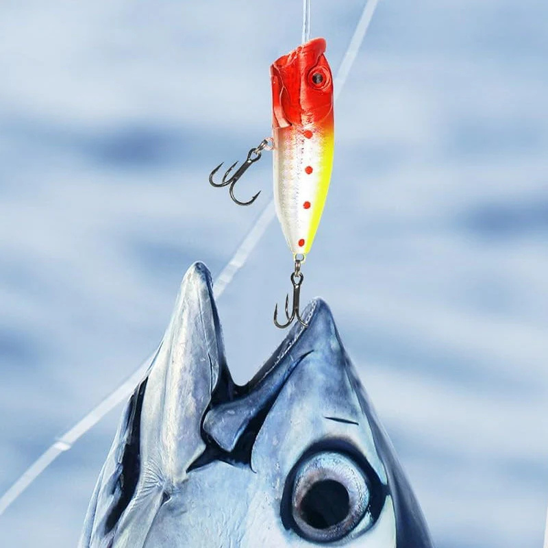 24 Days of Fishing Surprises