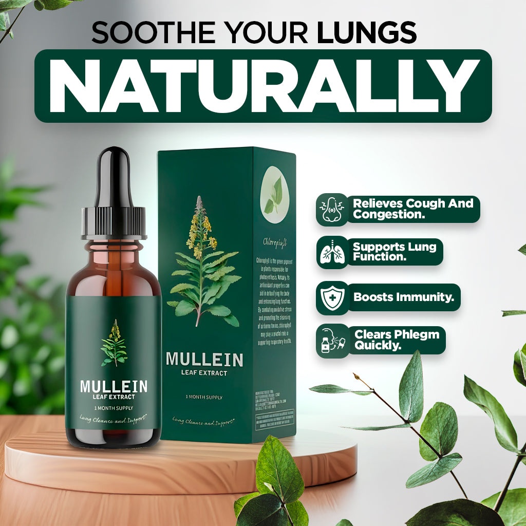 Mullein & Chlorophyll Extract