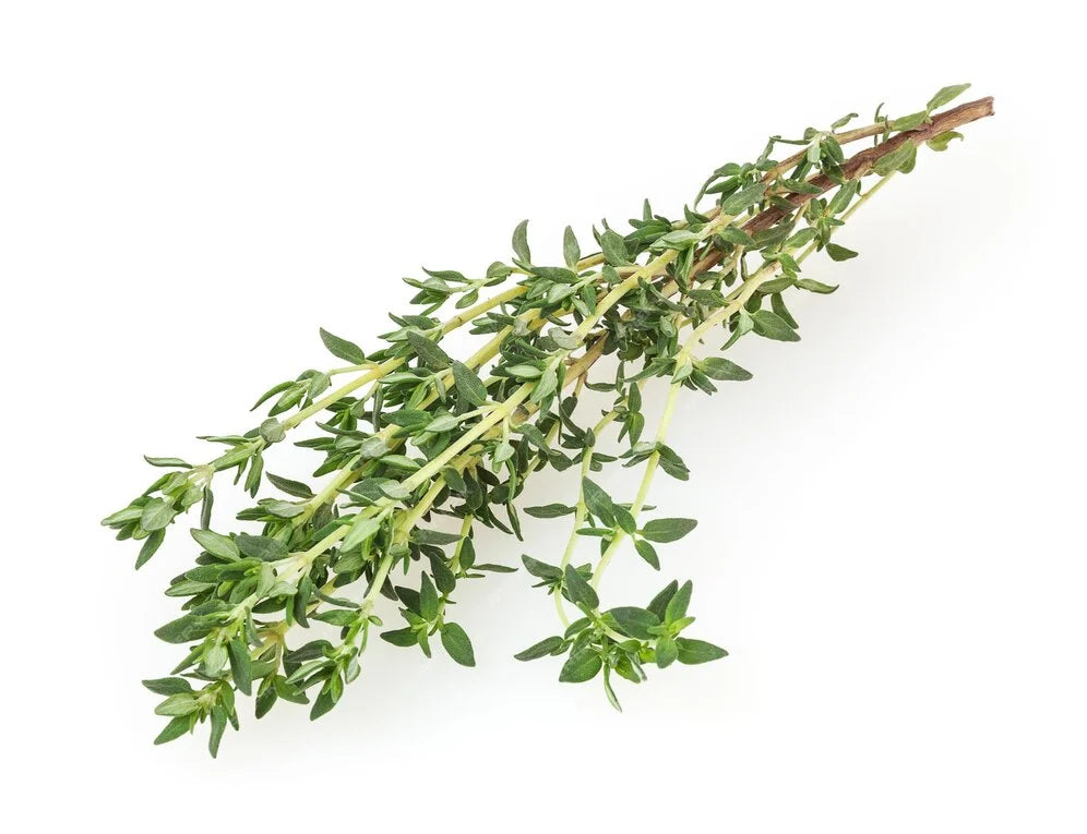 1717206645-fresh-thyme-isolated-white-background_625448-943.webp__PID:ef6ddd08-d37f-46e7-ae7f-9626f1a5070c